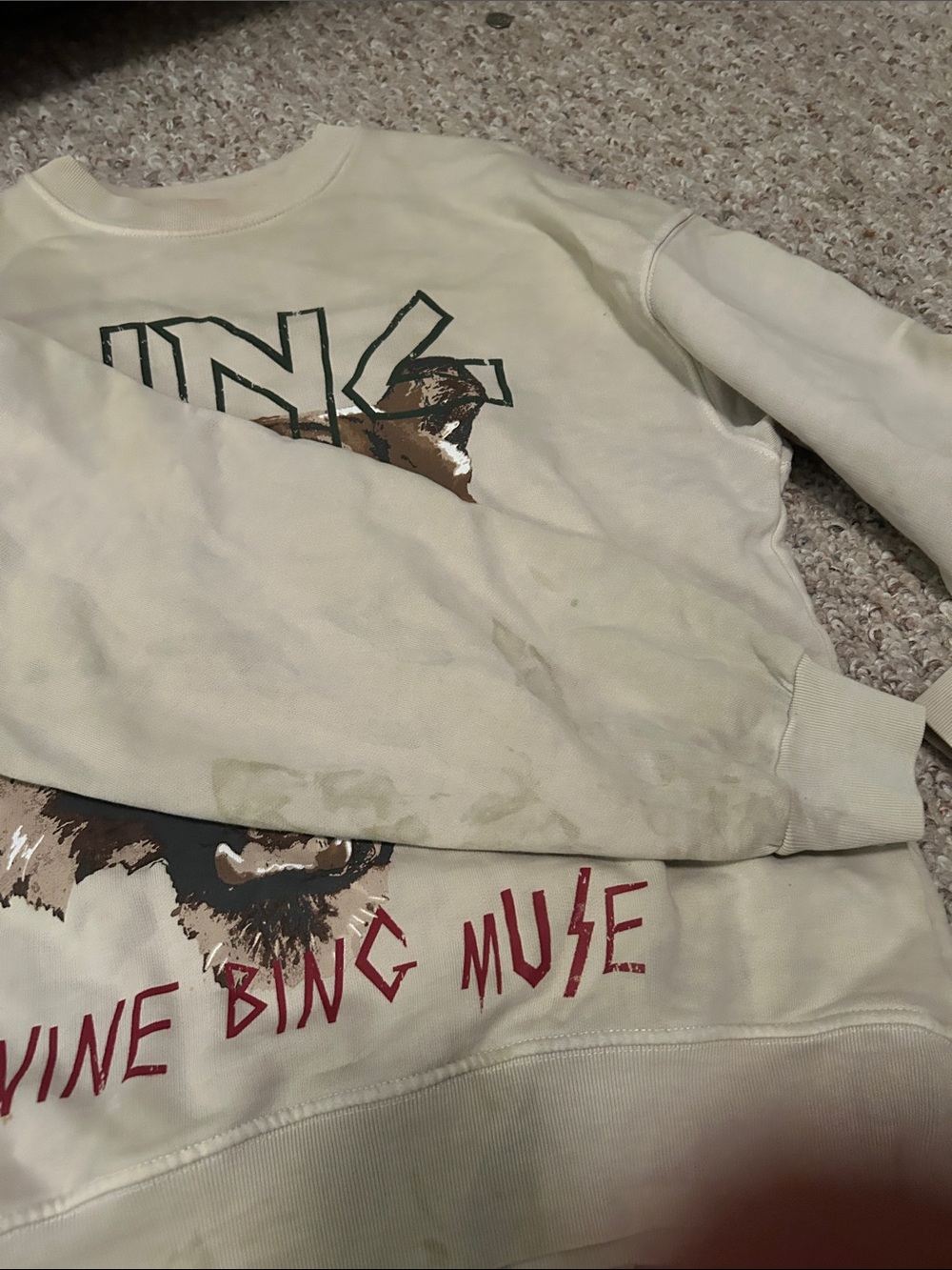 Anine Bing Muse Tiger Sweatshirt - AS IS - size small - Picture 4 of 11
